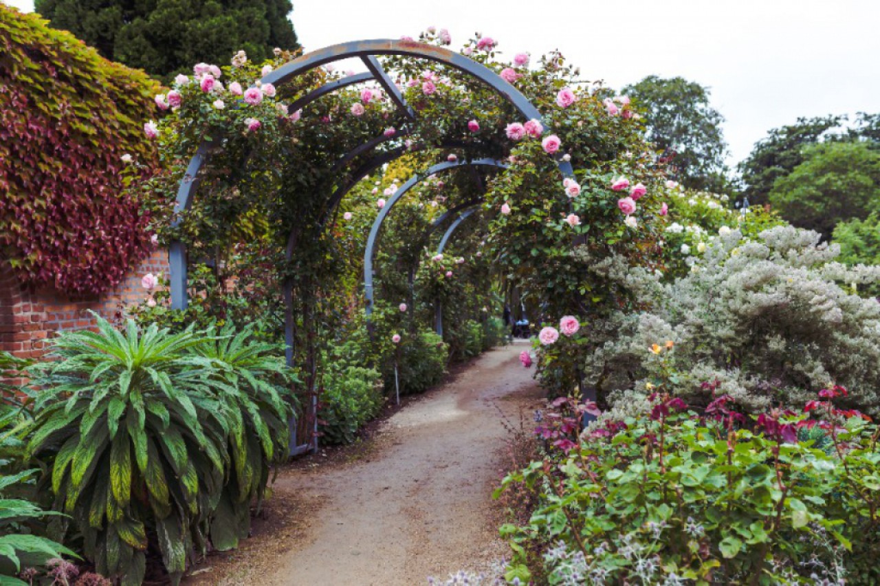 Royal Tasmanian Botanic Gardens The Premier Gardens In Tasmania