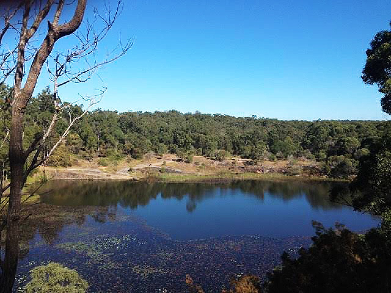 Venman Bushland National Park Attraction Jumpon