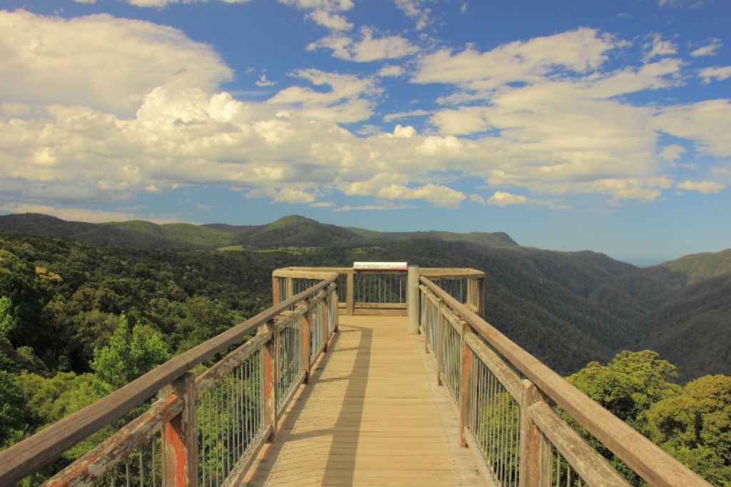 A stunning skywalk lookout in Dorrigo National Park | Attraction | JumpOn