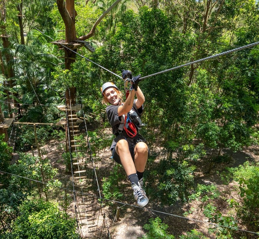 Treetop Challenge - Currumbin Wildlife Sanctuary | Attraction | JumpOn