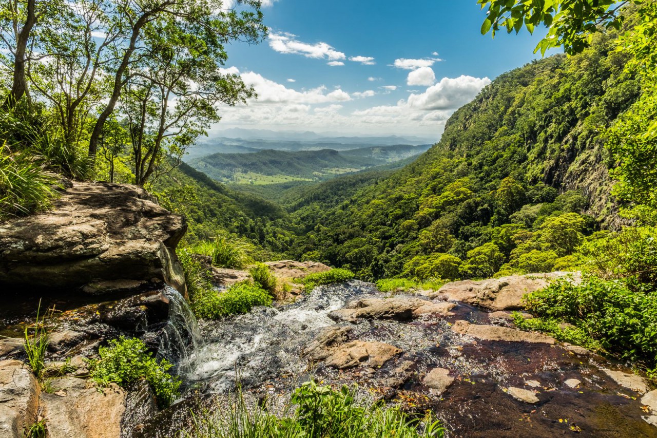 Lamington National Park Qld