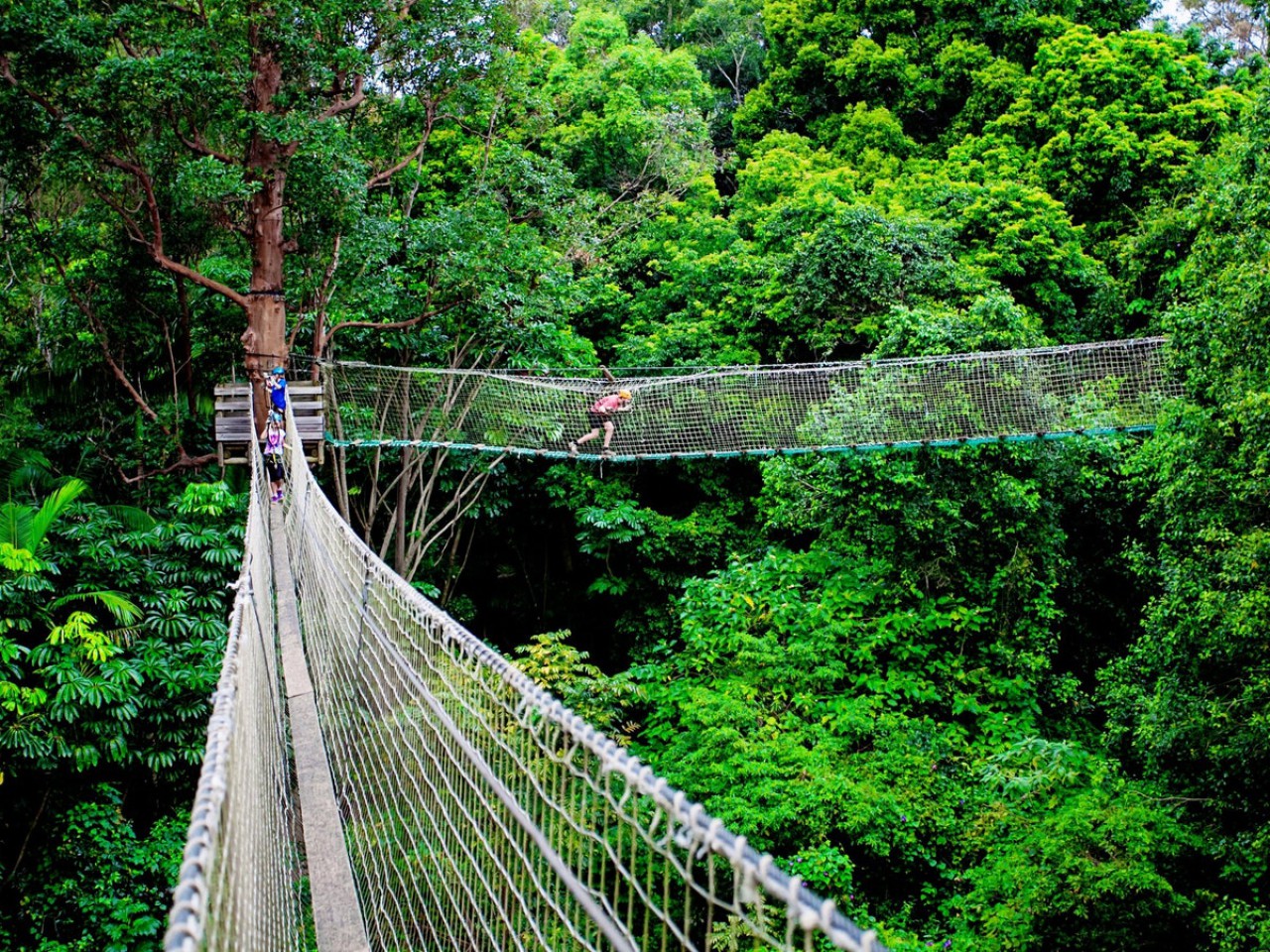 TreeTop Challenge Gold Coast Mt Tamborine | Attraction | JumpOn